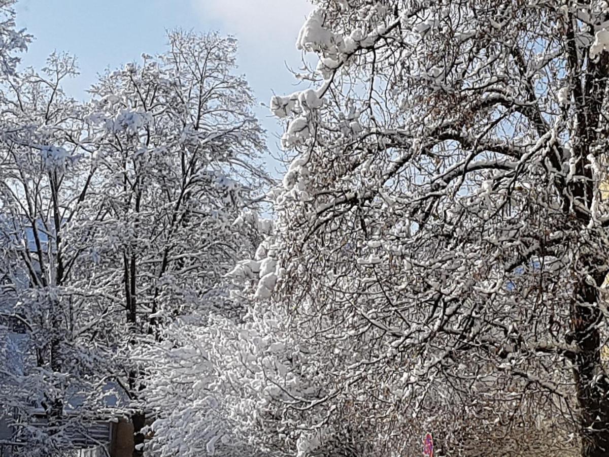 Stas-Przy Szkole Nr3 W Skawie Skawa Екстериор снимка